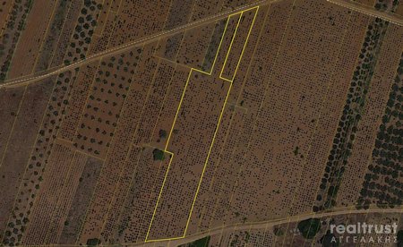 AGRICULTURE FIELS for Sale - ATTICA