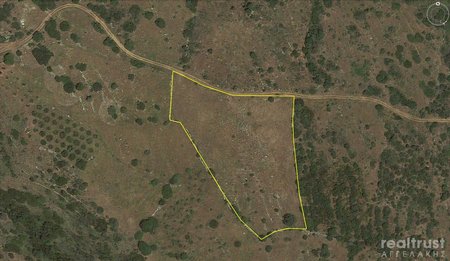 FIELD ABLE TO BE BUILT for Sale - MESSHNIA