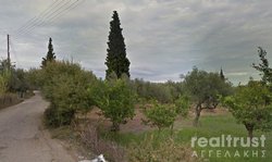 FIELD ABLE TO BE BUILT for Sale - ACHAIA