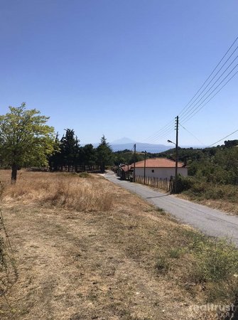 FIELD ABLE TO BE BUILT for Sale - CHALKIDIKI