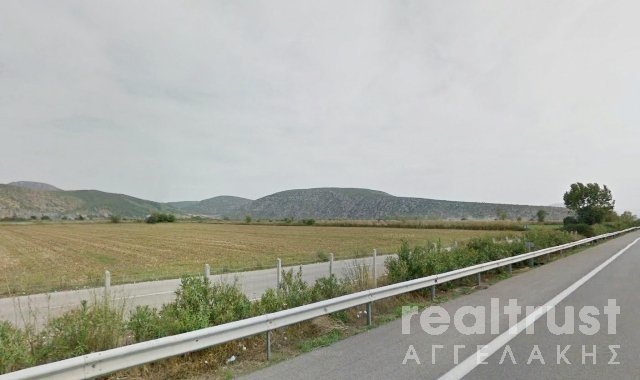 FIELD ABLE TO BE BUILT for Sale - VIOTIAS