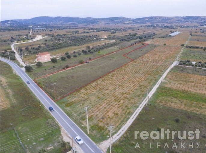 FIELD ABLE TO BE BUILT for Sale - ATTICA